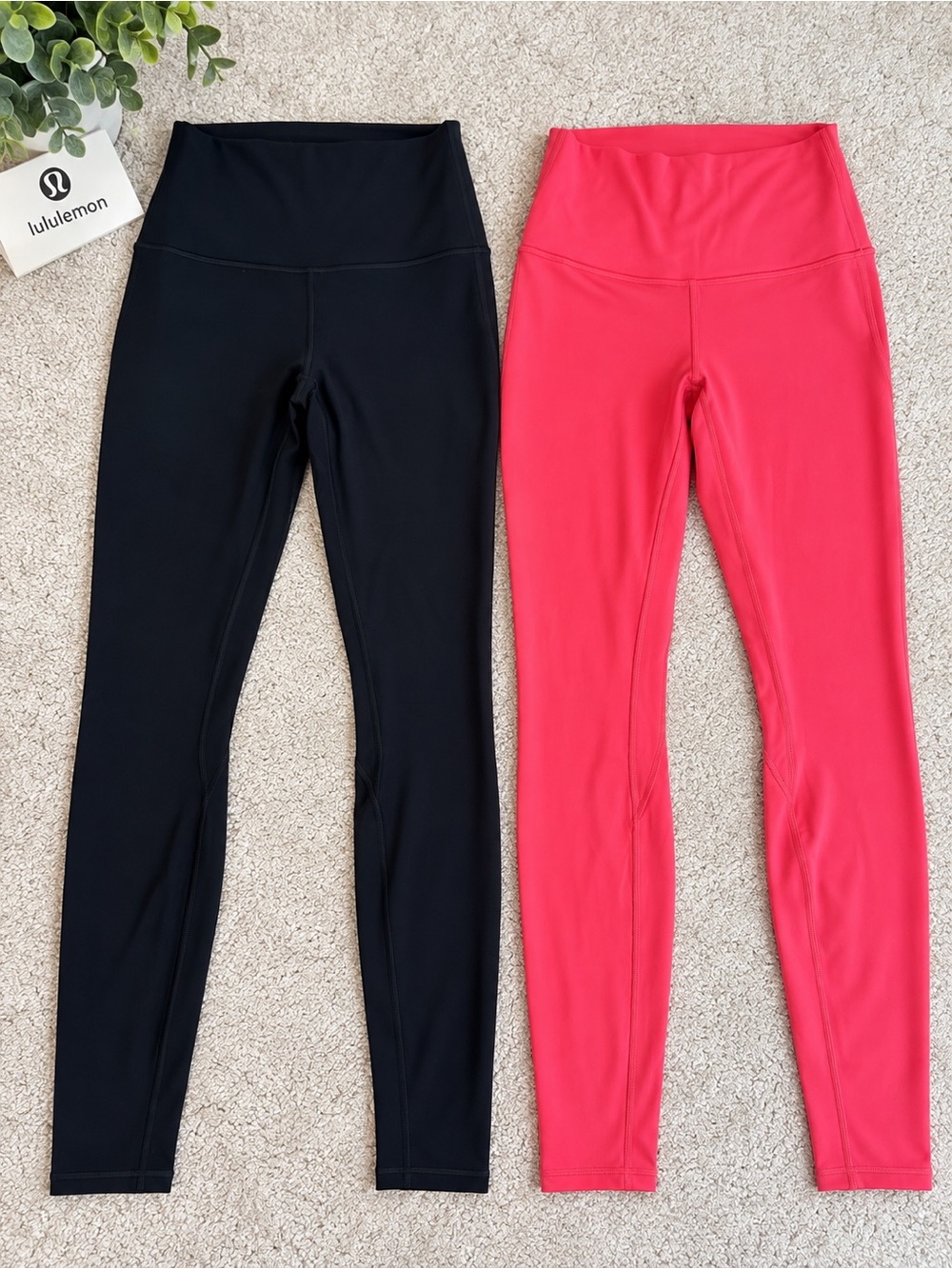 Align tights/2 pair